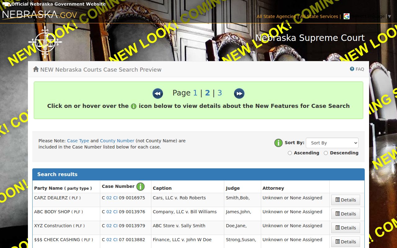 Colfax County case search result columns in official Nebraska preview
