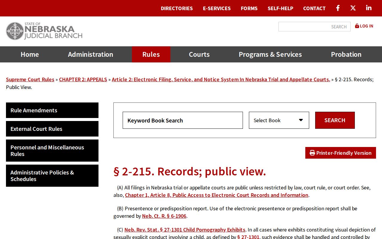 Colfax County court records public electronic record rule