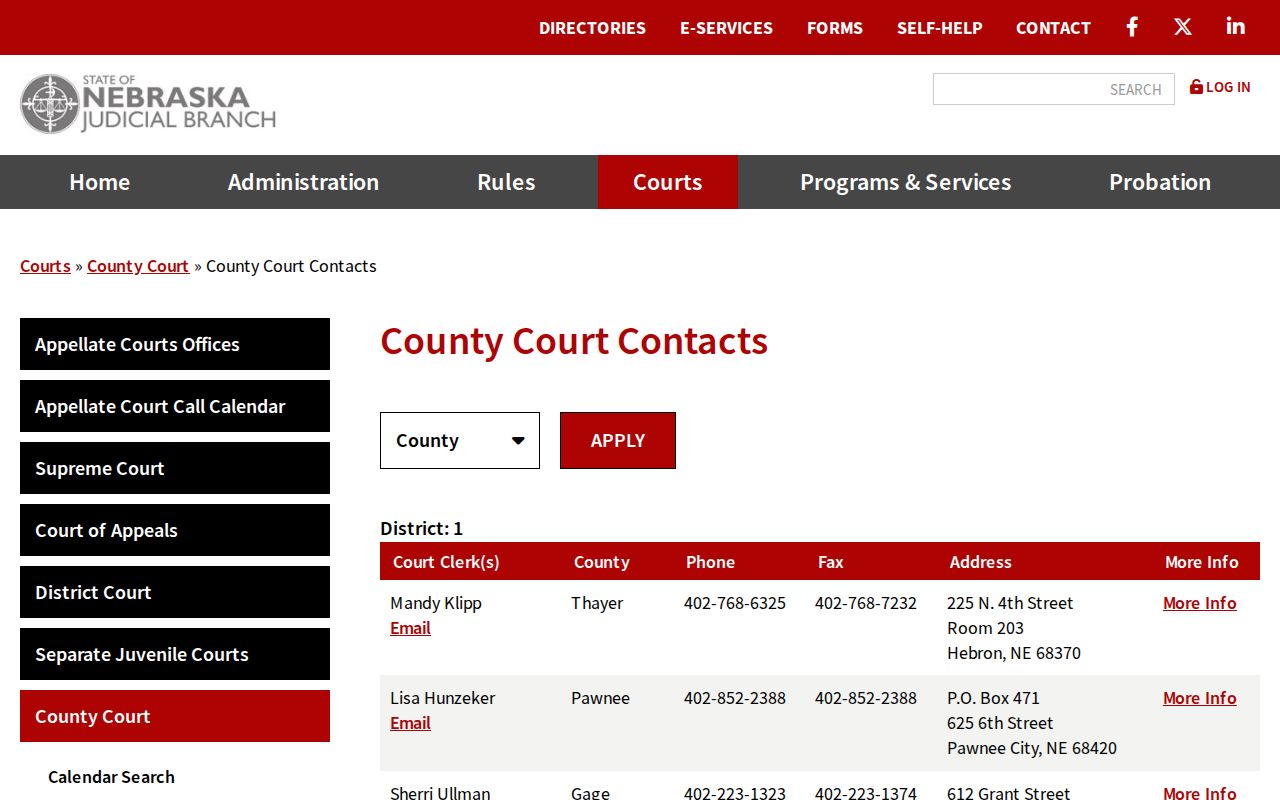Colfax County criminal docket County Court contact directory