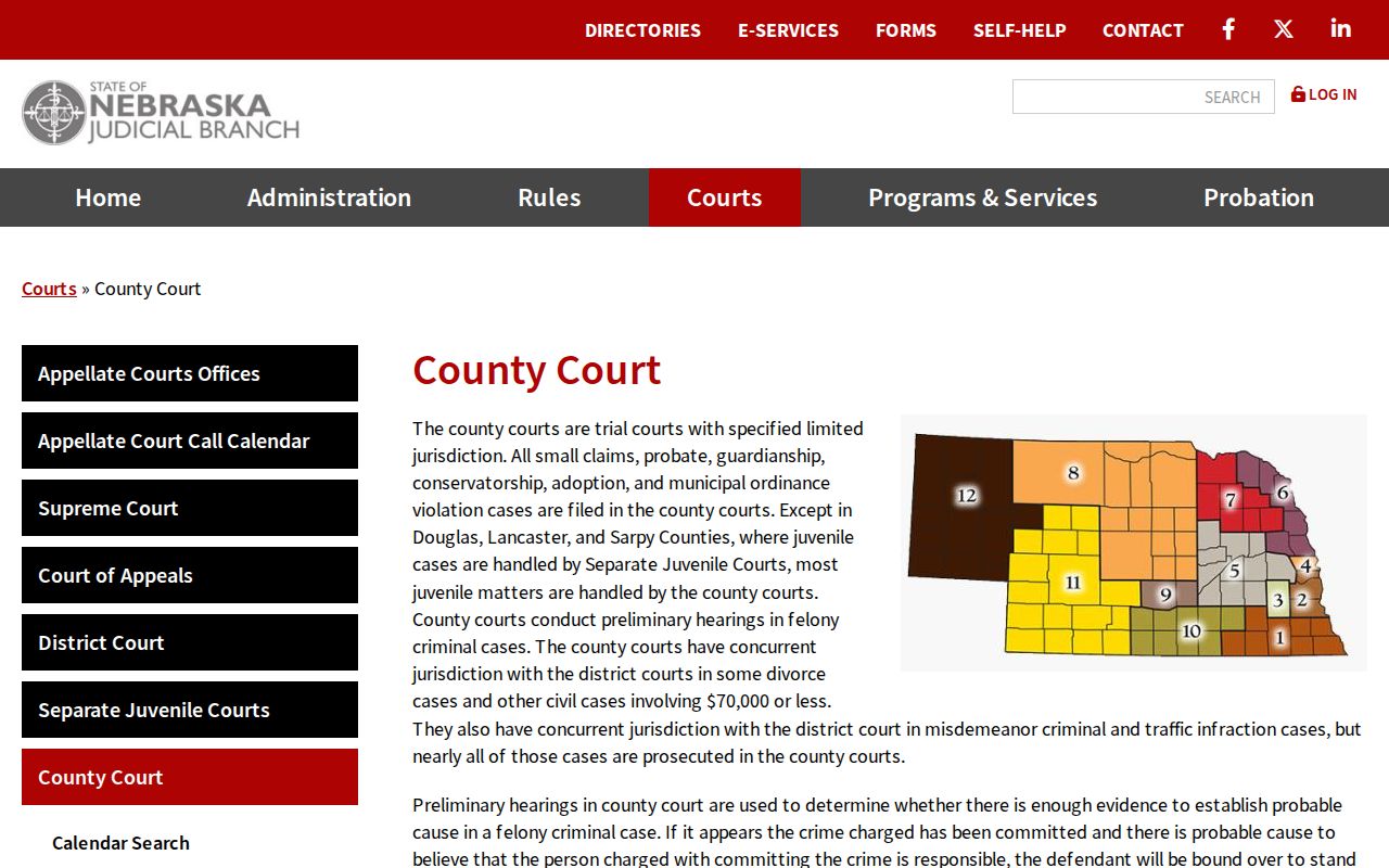 Colfax County criminal docket County Court jurisdiction overview