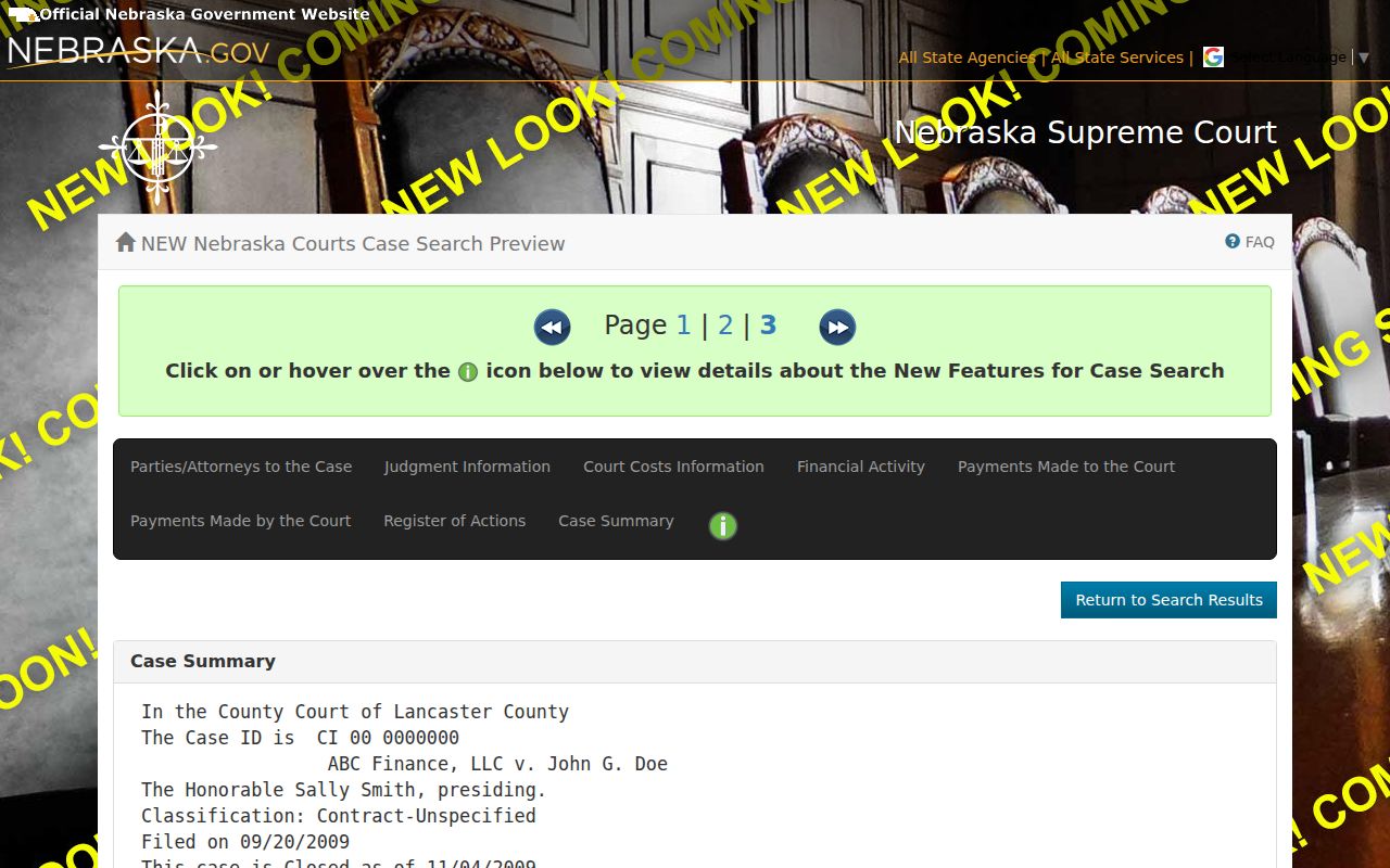 Colfax County criminal docket case-detail interface preview